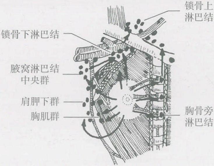 第一节 概述